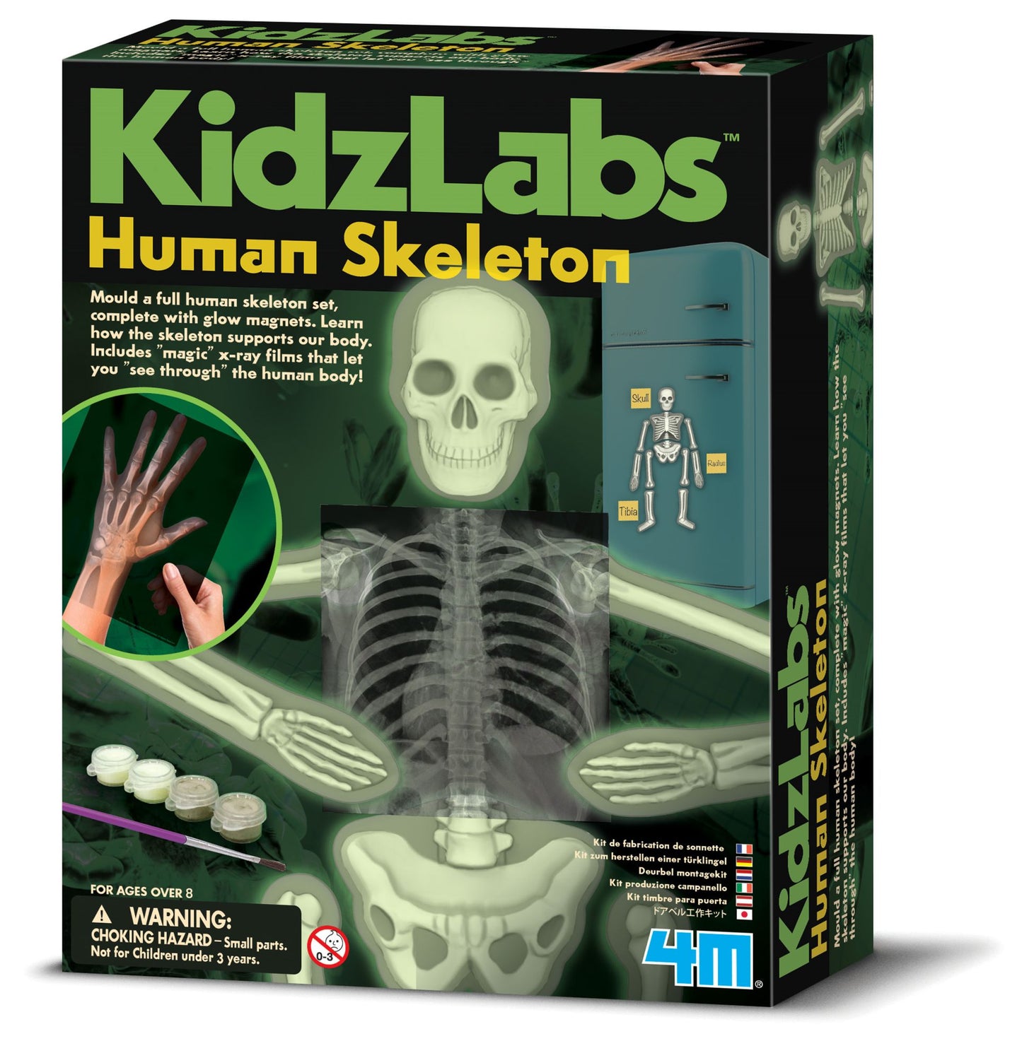 4M Glow Human Skeleton Science Kit