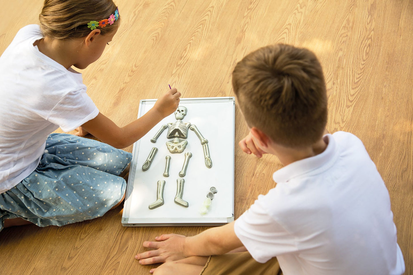 4M Glow Human Skeleton Science Kit