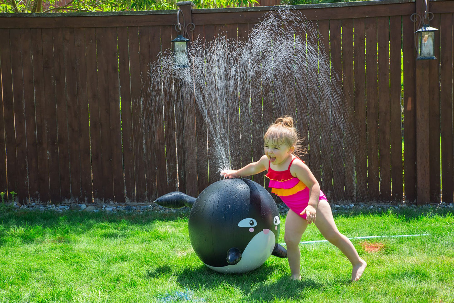 Toysmith Orca Whale Inflatable Sprinkler Buddy