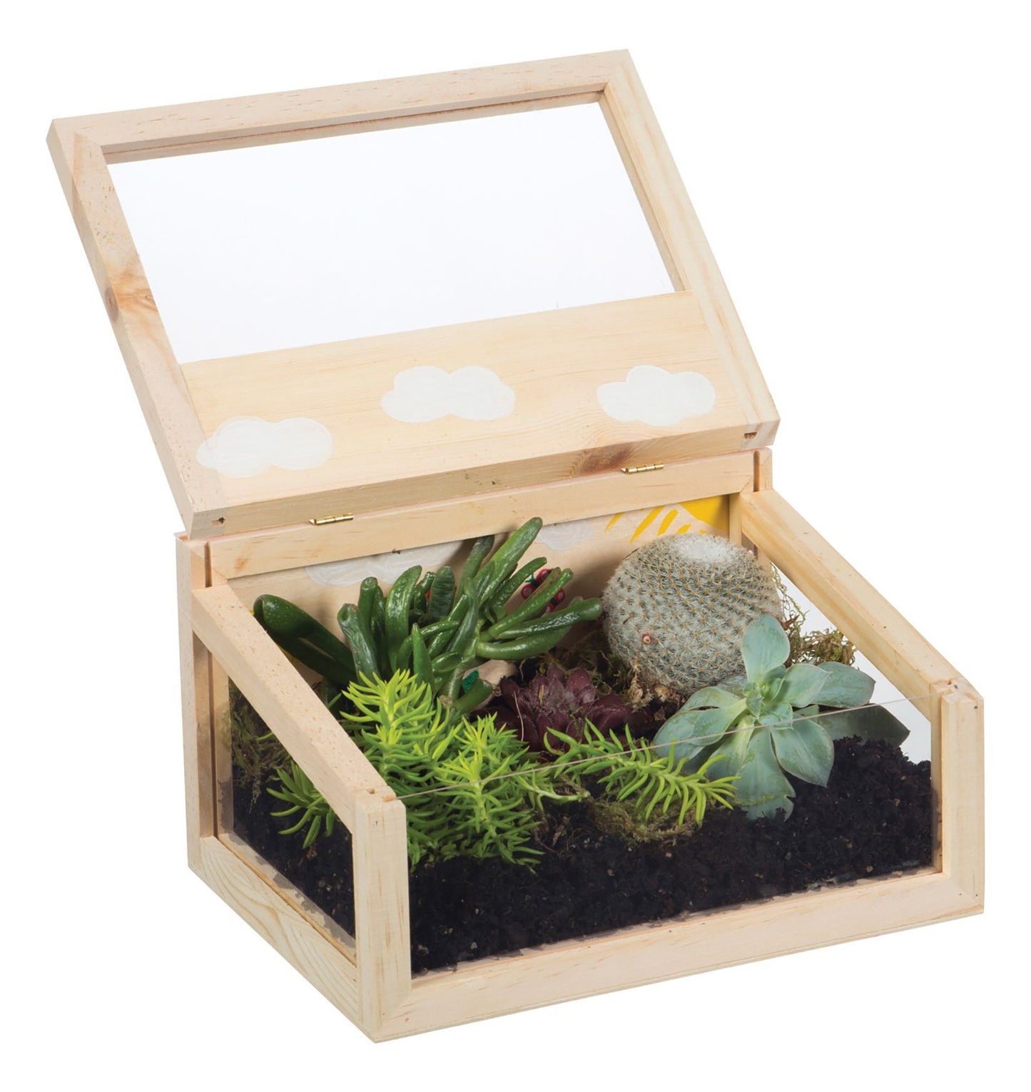 Toysmith Paint A Terrarium Kit