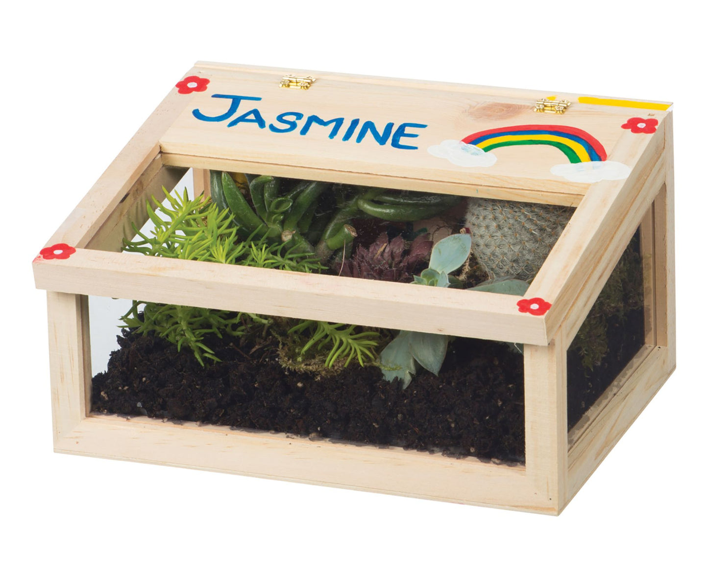 Toysmith Paint A Terrarium Kit