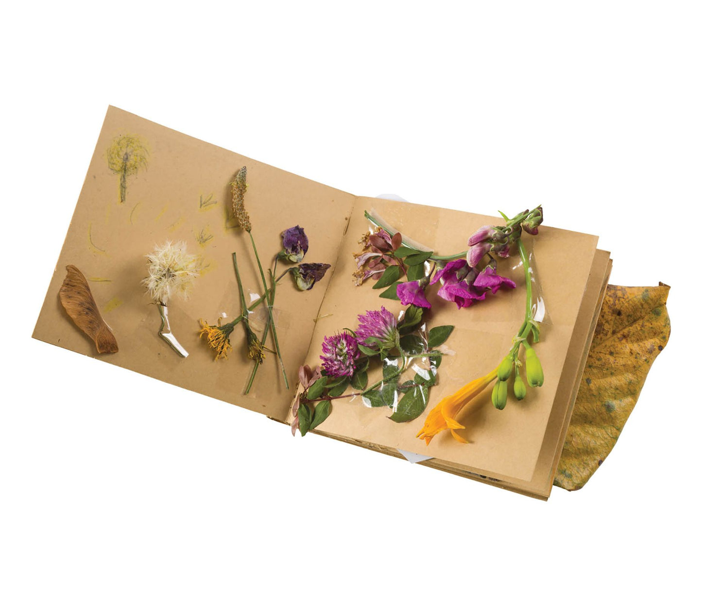 Toysmith Nature Journal