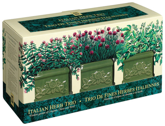 Toysmith Garden At Home Easy-To-Grow Italian Herb Set