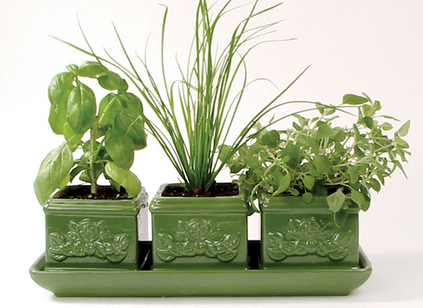 Toysmith Garden At Home Easy-To-Grow Italian Herb Set