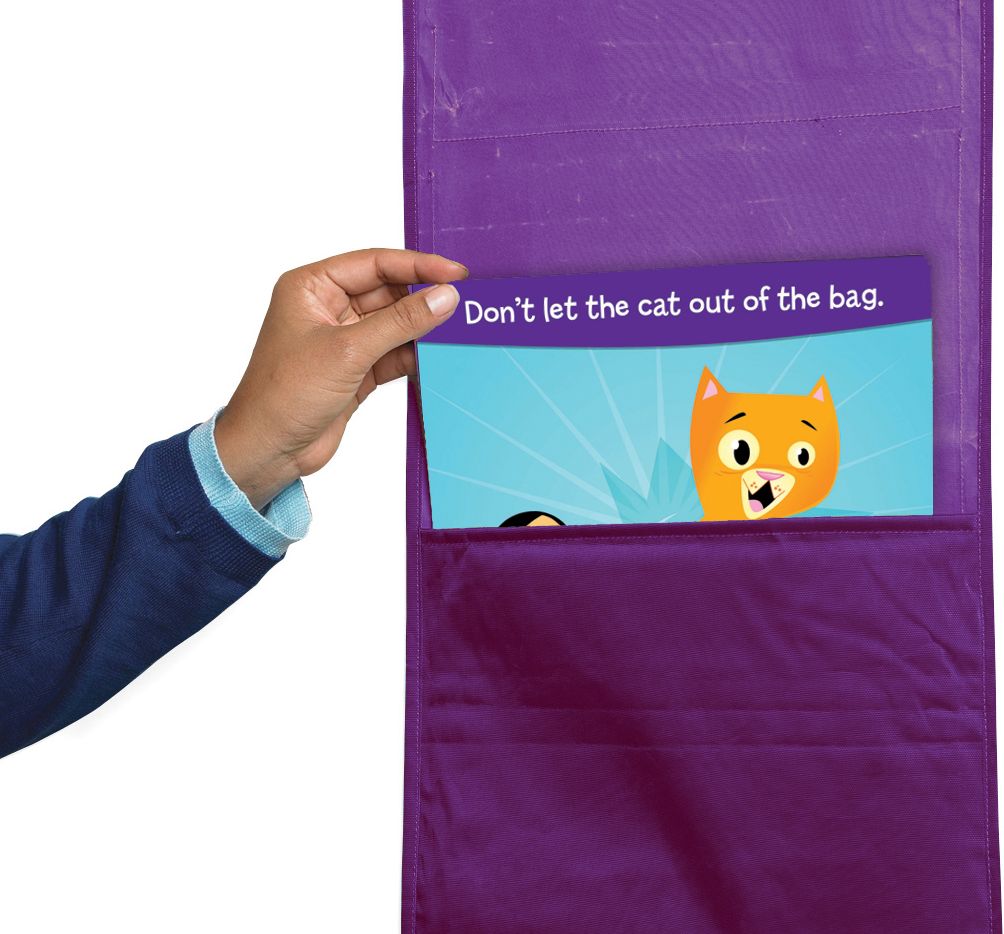 Educational Insights EI-1753 Idiom Of The Week Pocket Chart