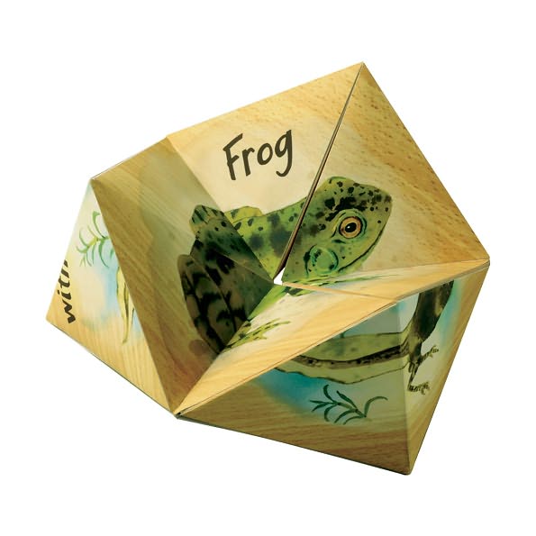 Lifecyclers Butterfly, Frog, And Plant