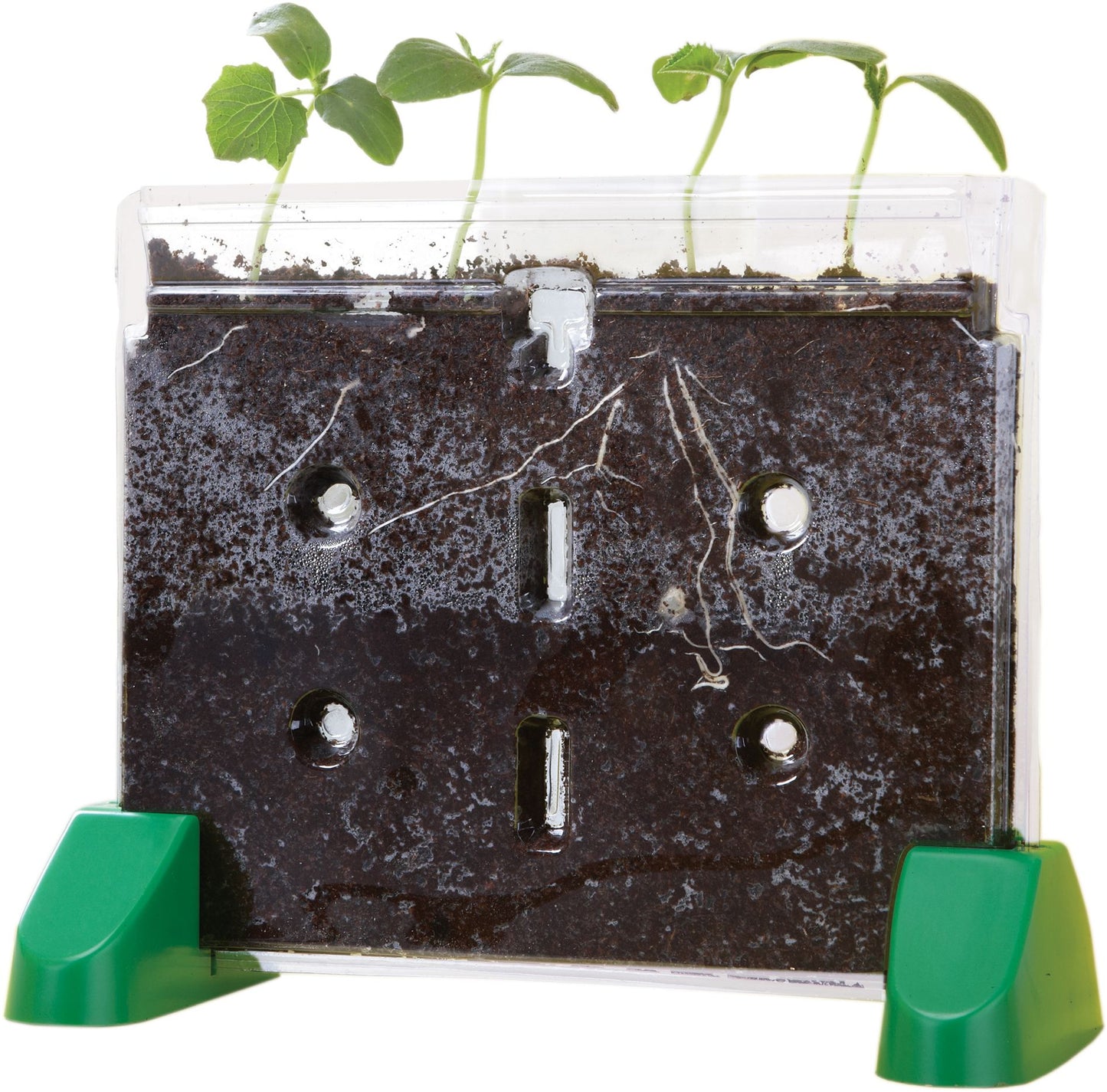 Sprout and Grow Greenhouse
