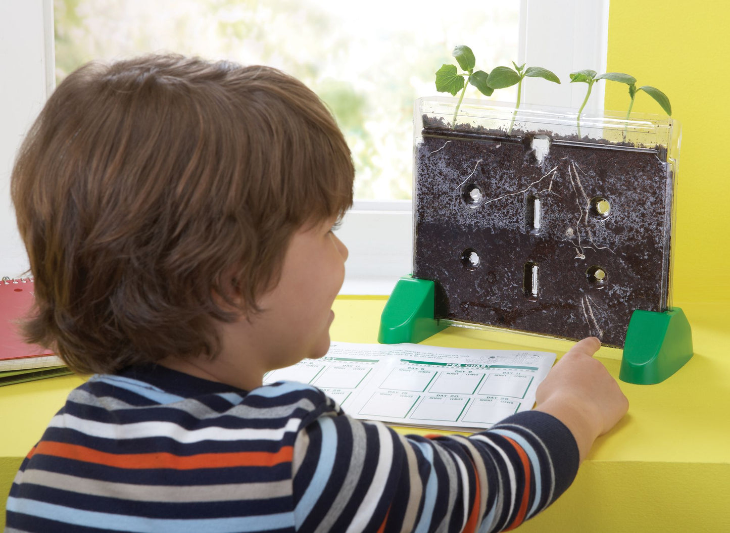 Sprout and Grow Greenhouse