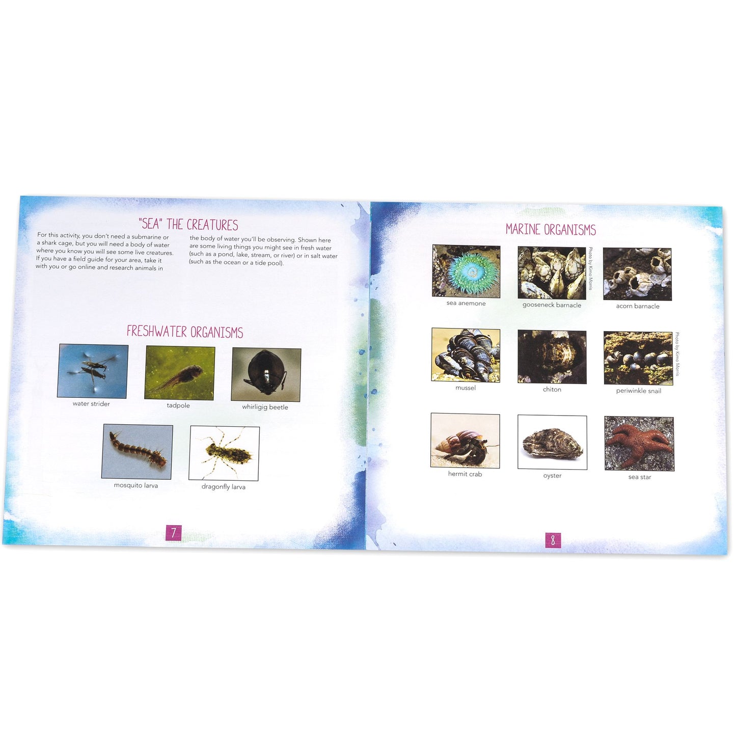 Educational Insights Nancy B's Aquascope & Activity Journal