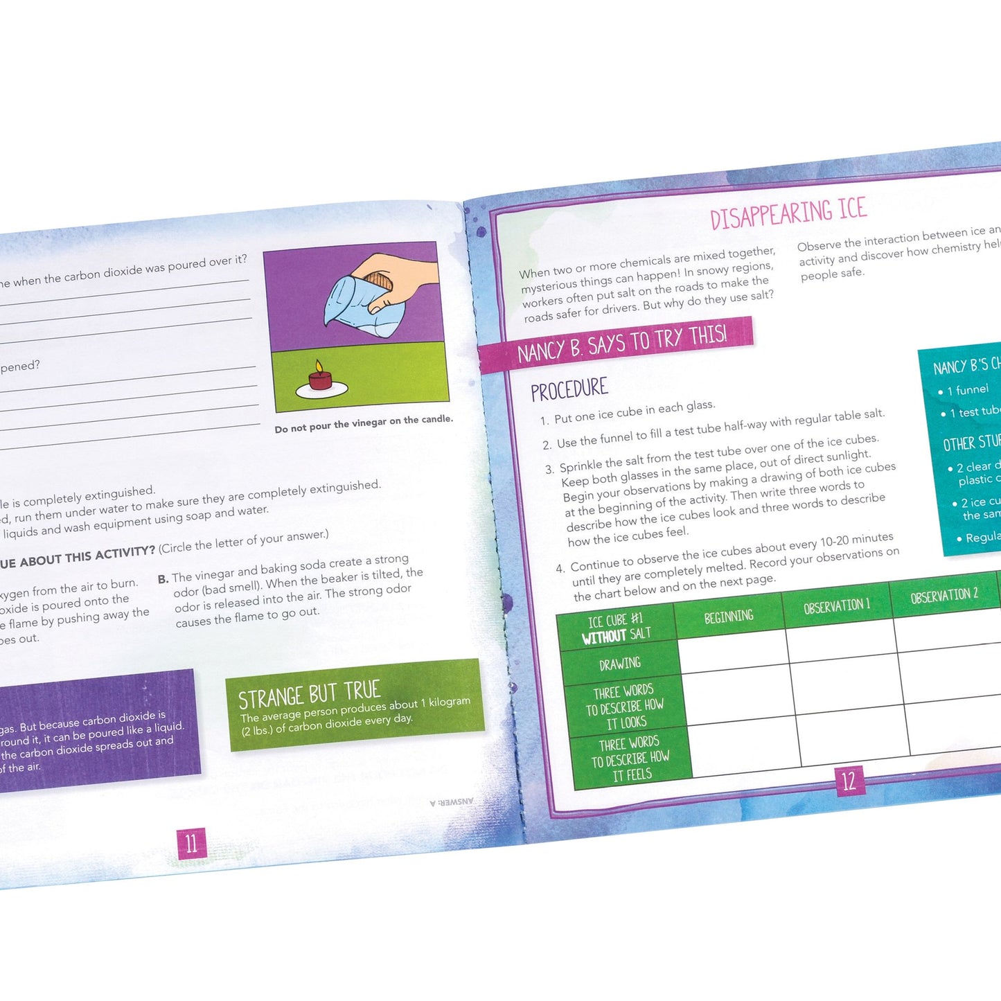 Educational Insights 5356 Nancy Bs Science Club Stir-It-Up Chemistry Lab & Kitchen Experiments Journal