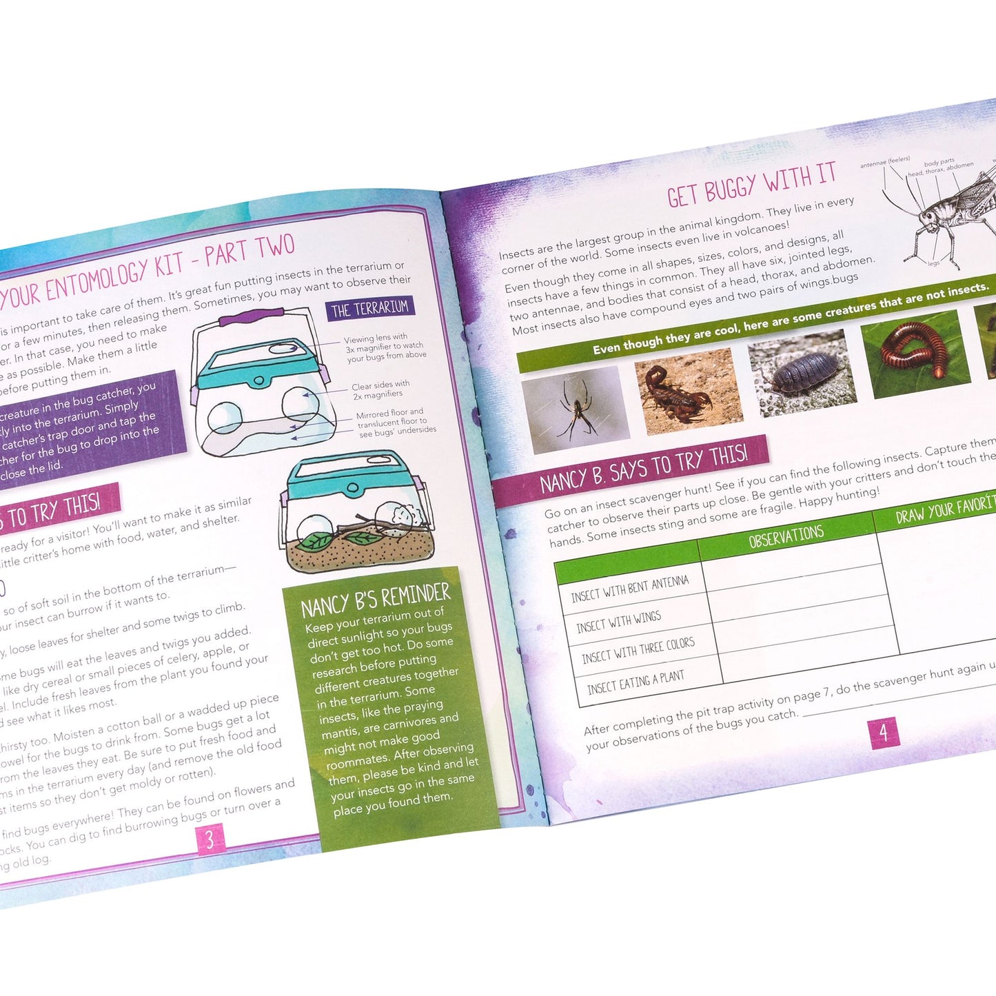 Nancy B'S Science Club Bug Discovery Lab & Incredible Insects Journal