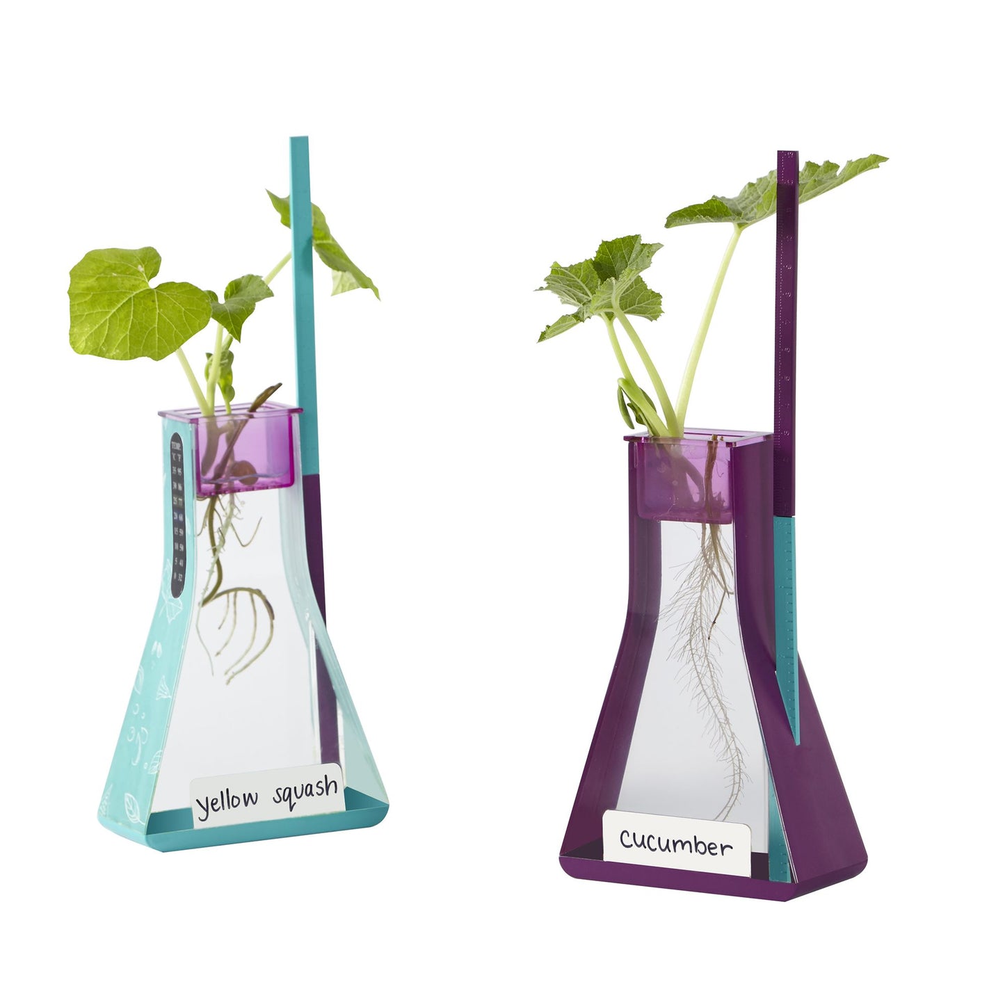 Nancy B'S Science Club Way To Grow Hydroponics Kit & Gardening Diary