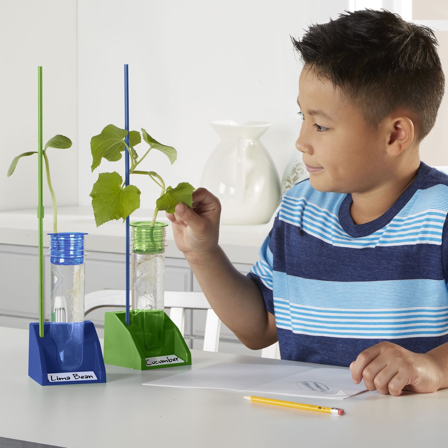Educational Insights GeoSafari Hydroponics Kit