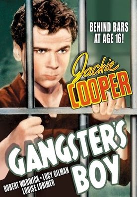 Gangster's Boy