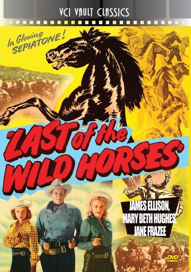 Last of the Wild Horses