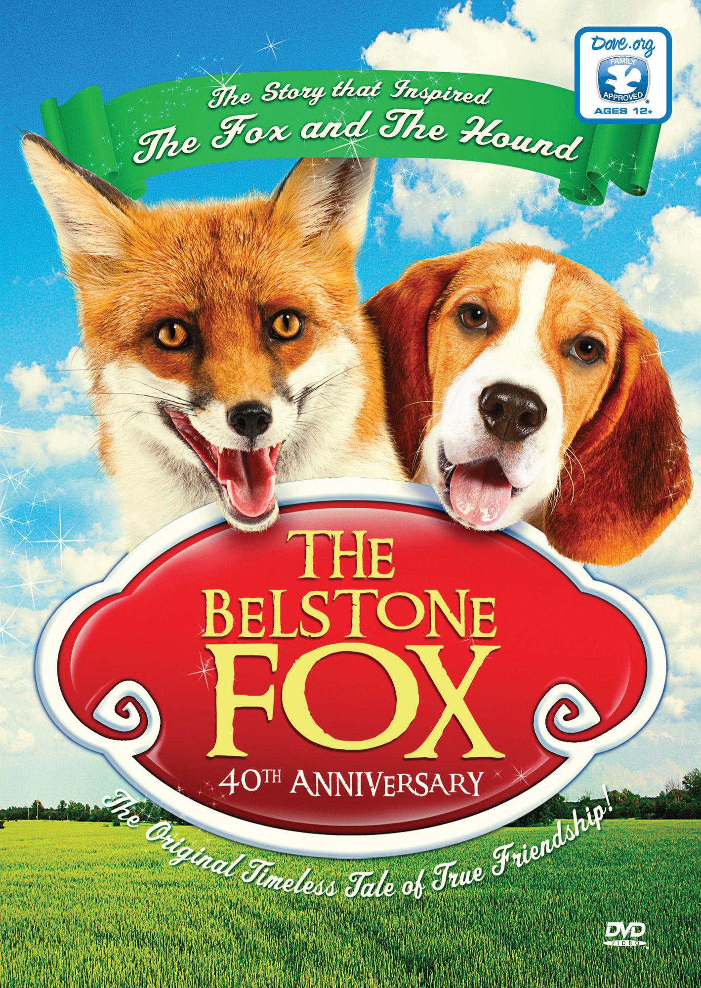 The Belstone Fox