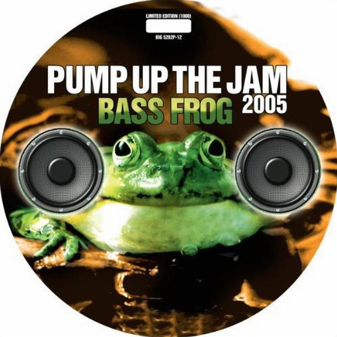 Pump Up The Jam 2005