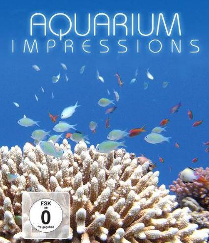 Aquarium Impressions
