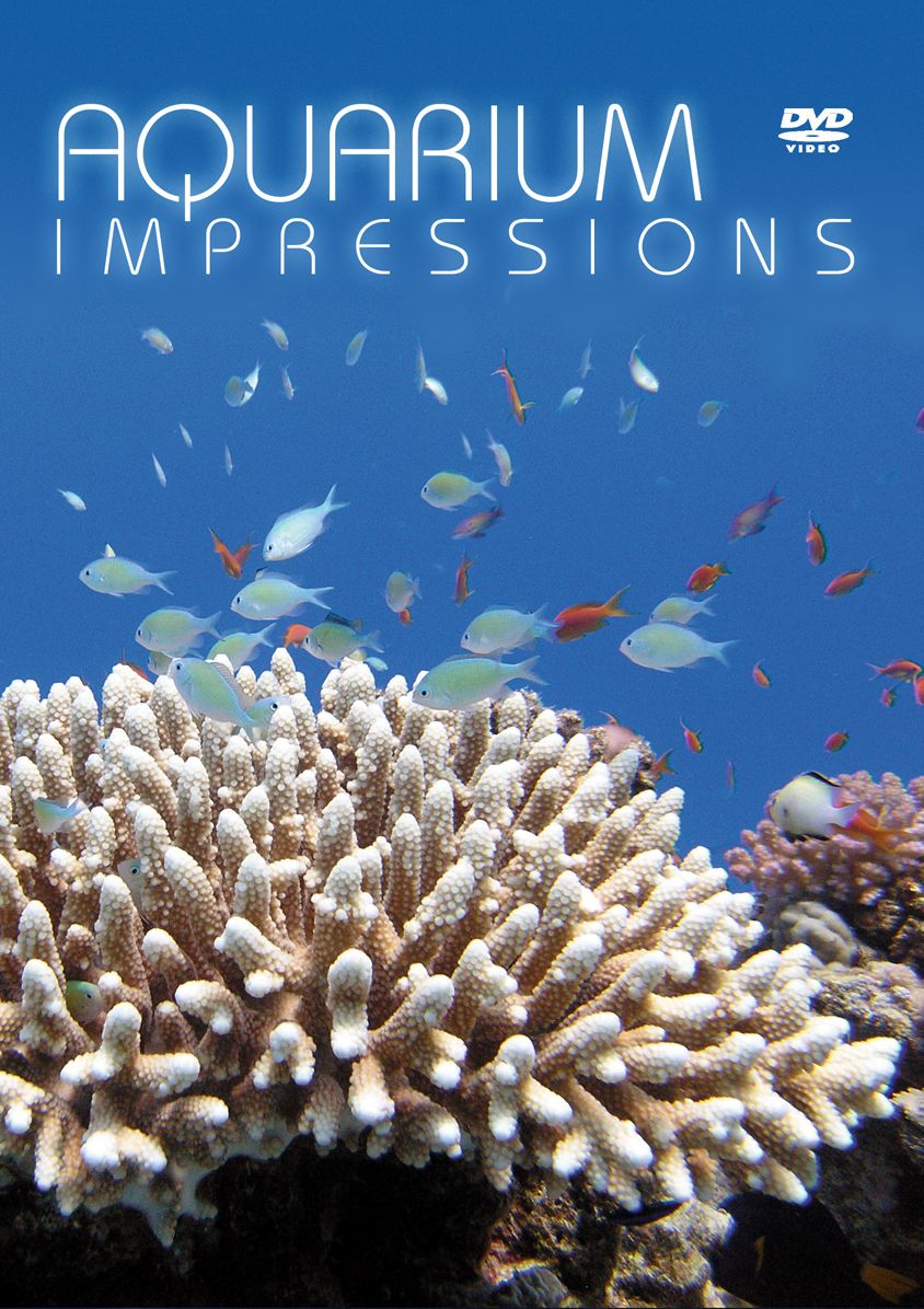 Aquarium Impressions