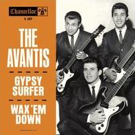 Gypsy Surfer/wax Em Down