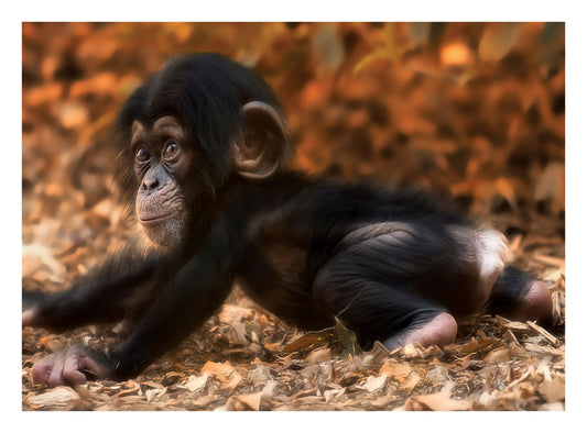 Monkey Business 100 Piece Jigsaw Puzzle