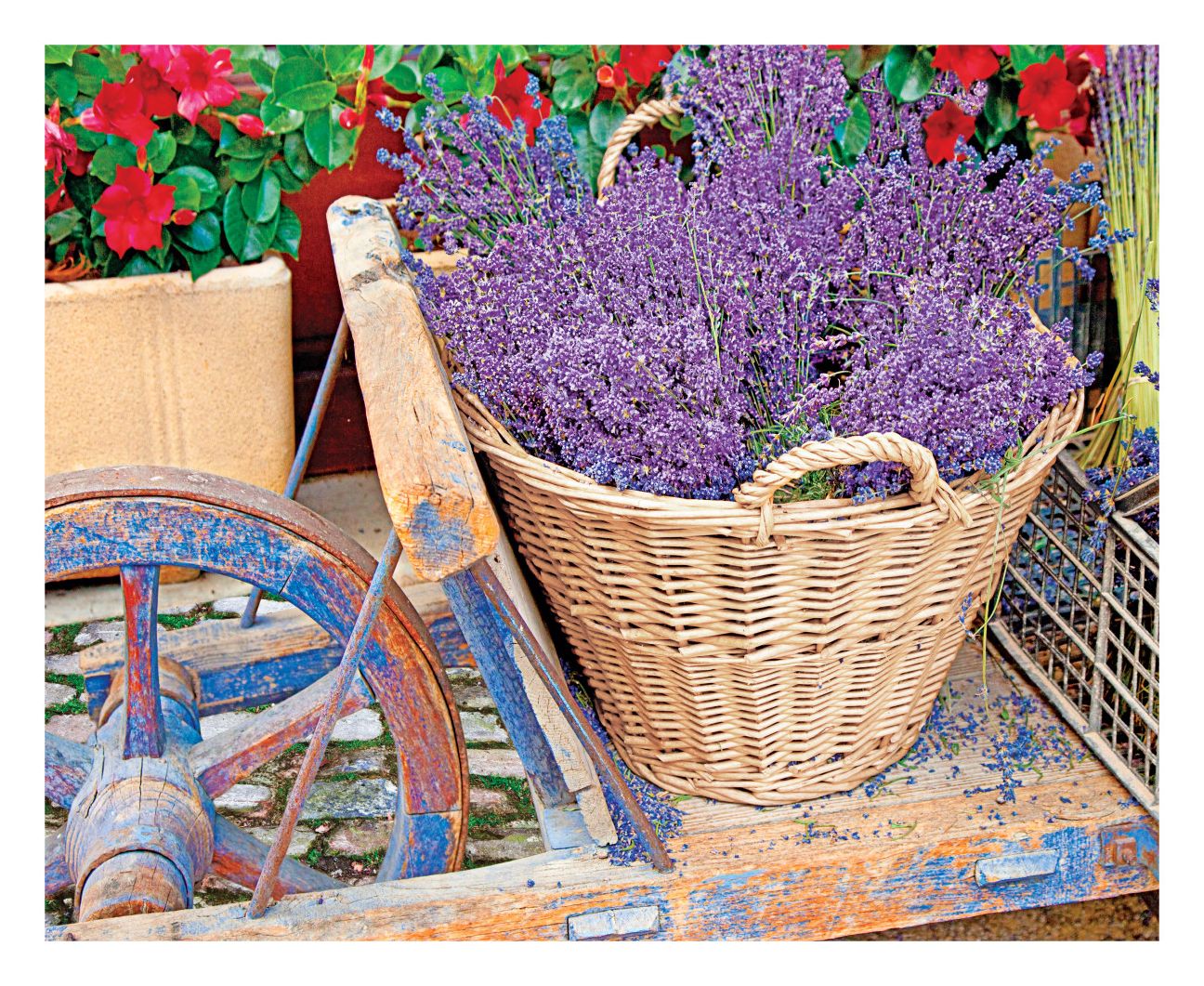 Springbok Puzzles 33-10668 Basket of Lavendar, 1000 Piece Jigsaw Puzzle