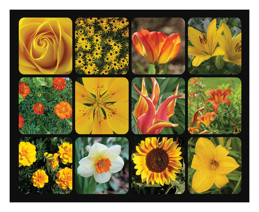 Golden Blooms 1000 Piece Jigsaw Puzzle