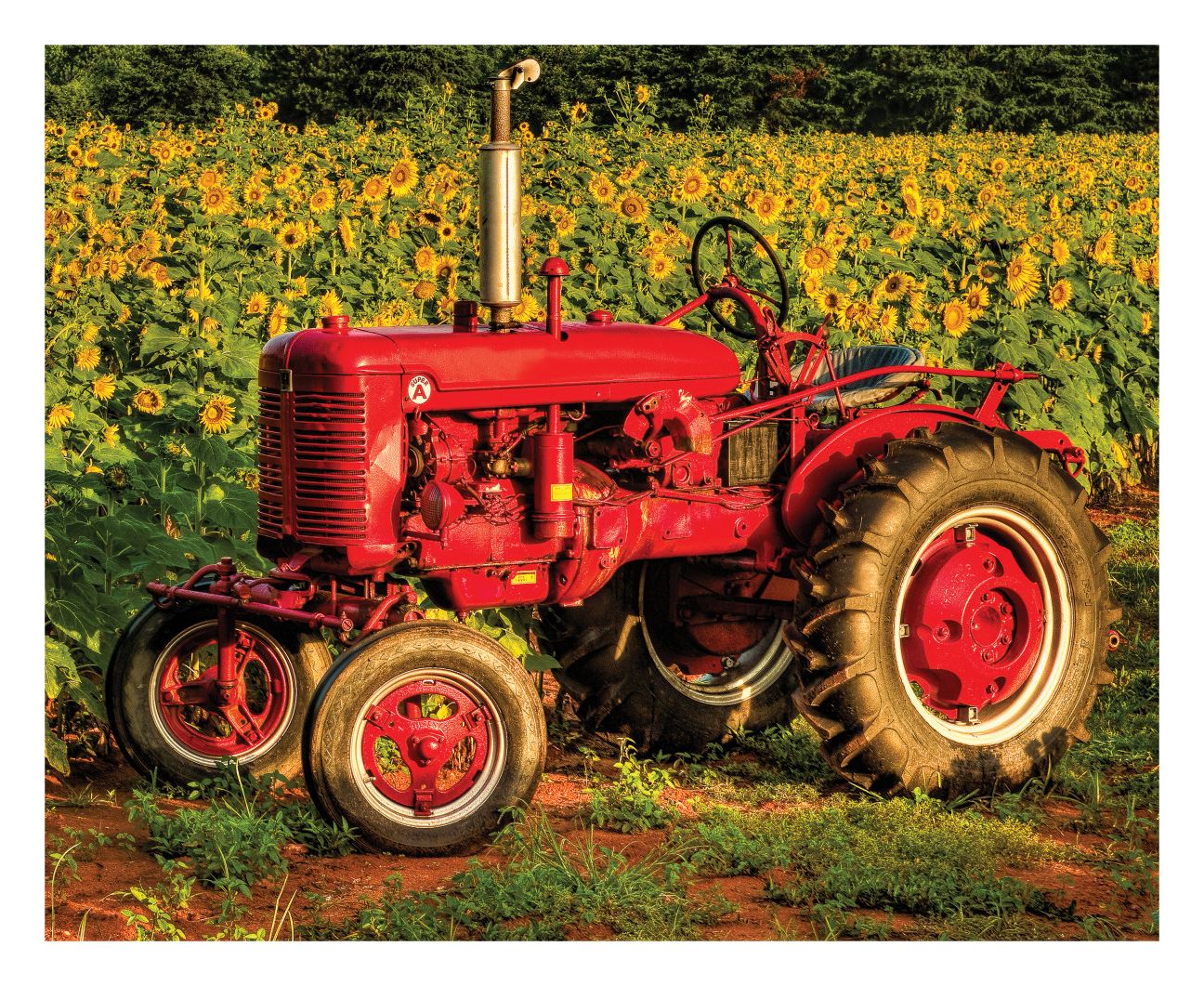 American Made 1000 Piece Jigsaw Puzzle