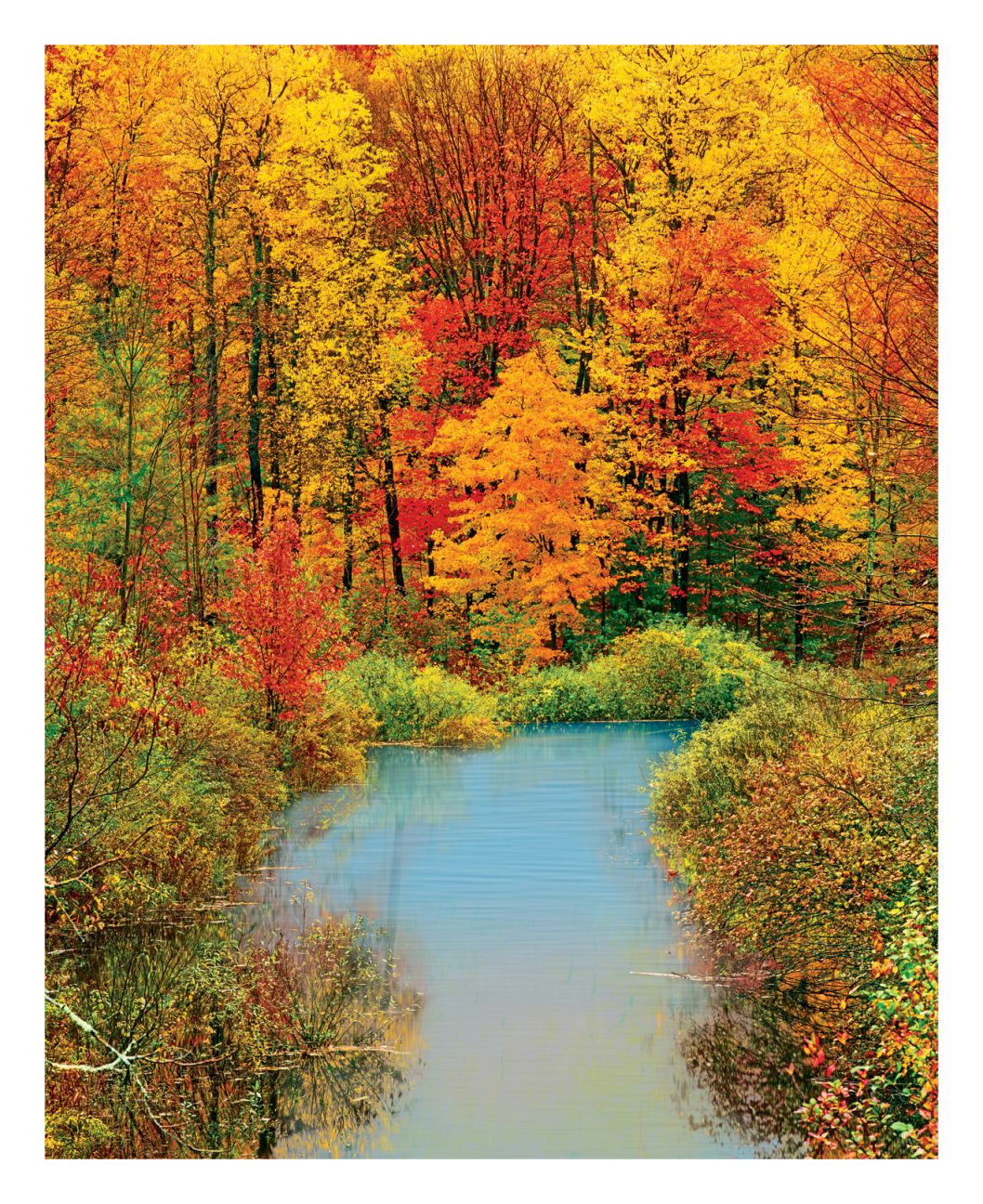Autumn Reflection 1500 Piece Jigsaw Puzzle