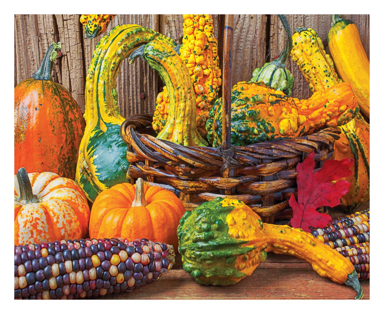 Springbok Puzzles 33-15496 Harvest Colors, 1500 Piece Jigsaw Puzzle