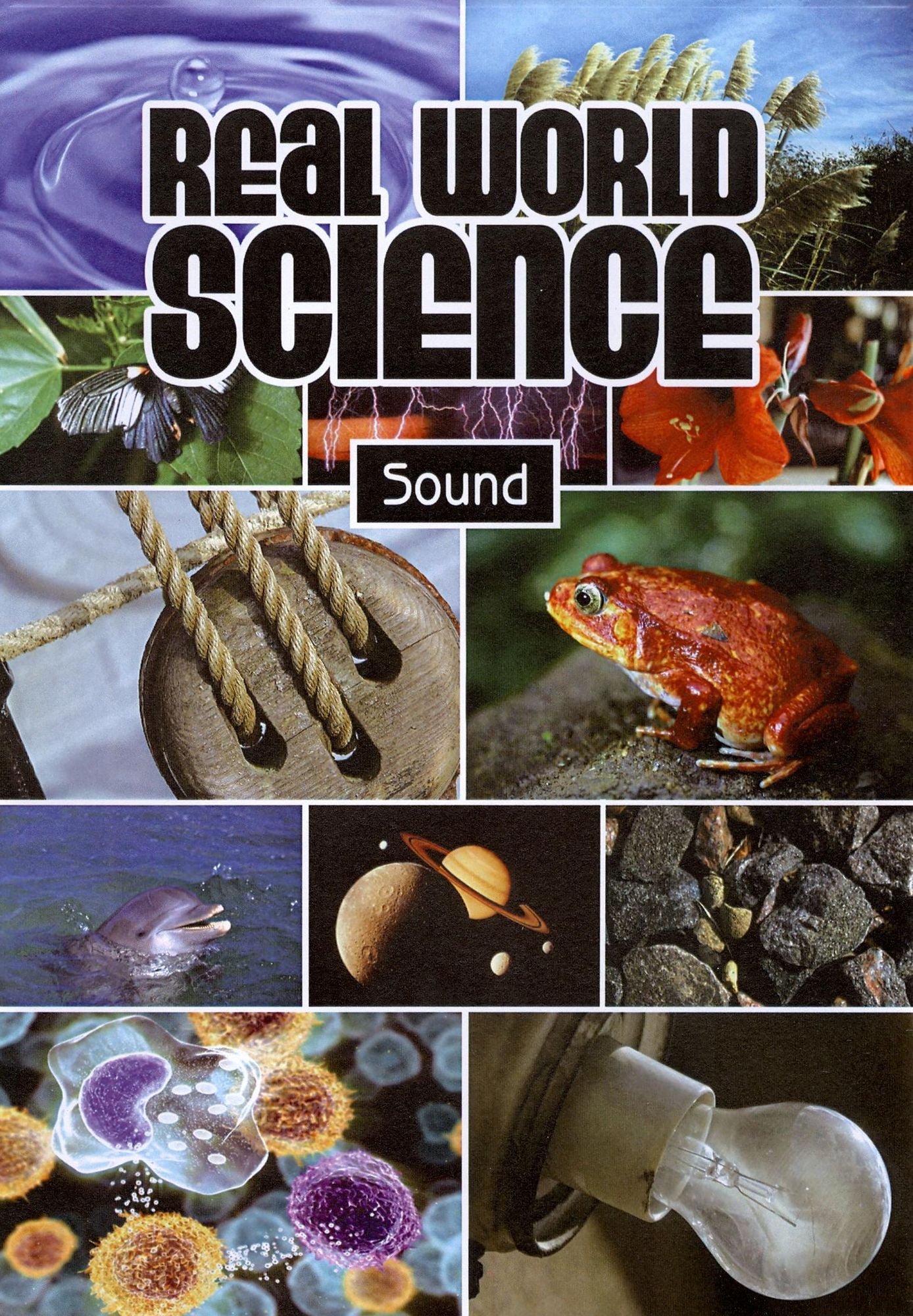 Real World Science: Sound
