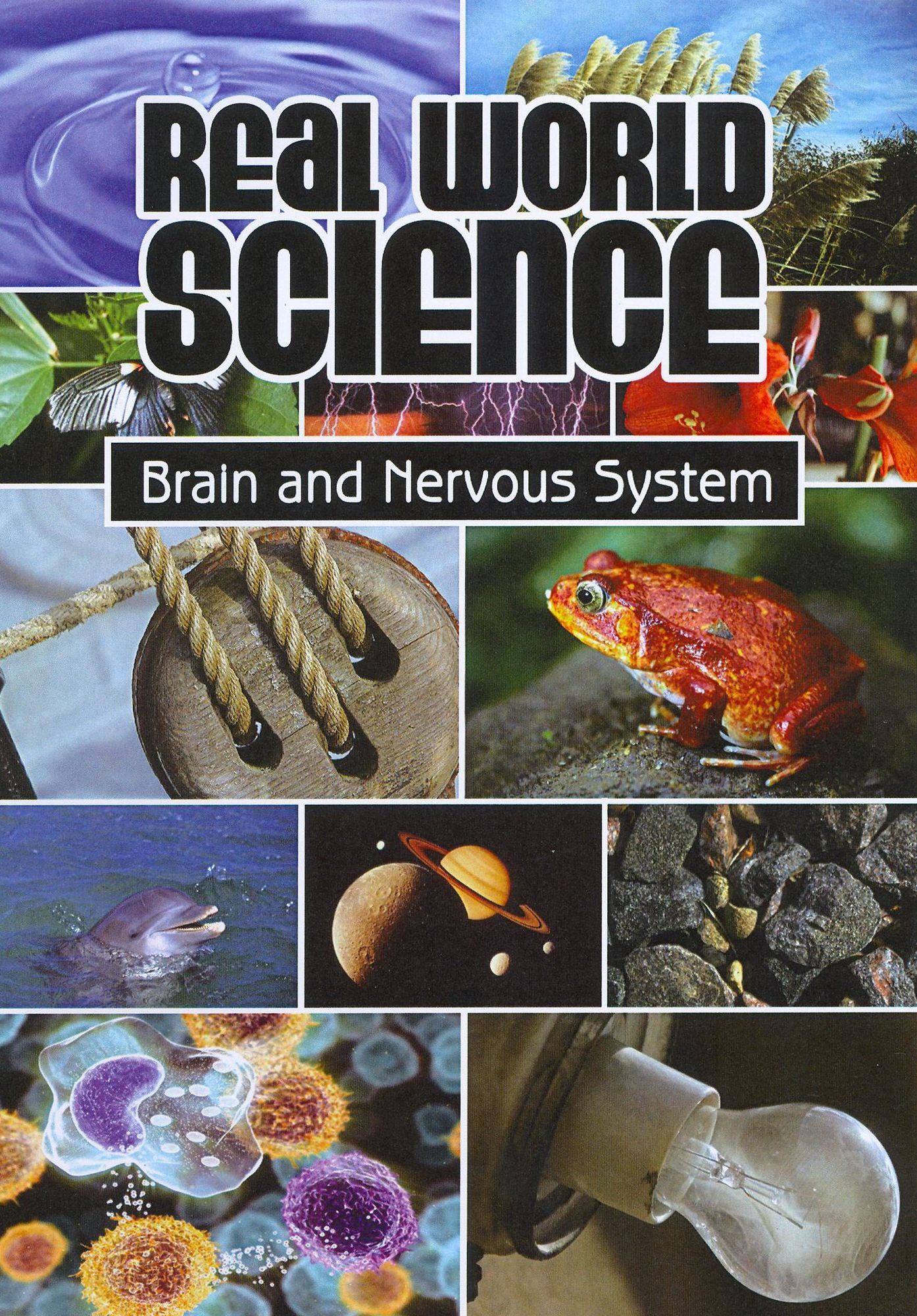 Real World Science: Brain and Nervous System