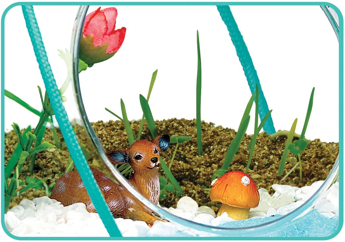 Macrame Terrarium