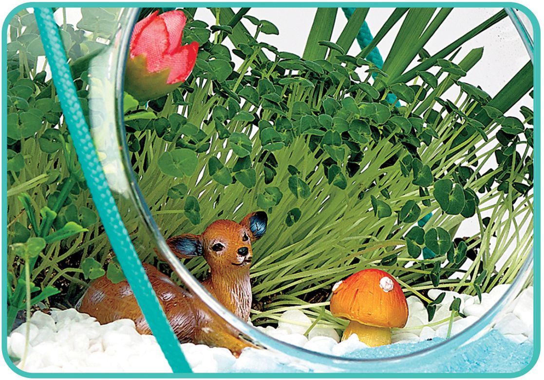 Macrame Terrarium