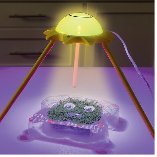Grow Light