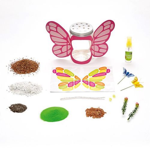 Butterfly Terrarium