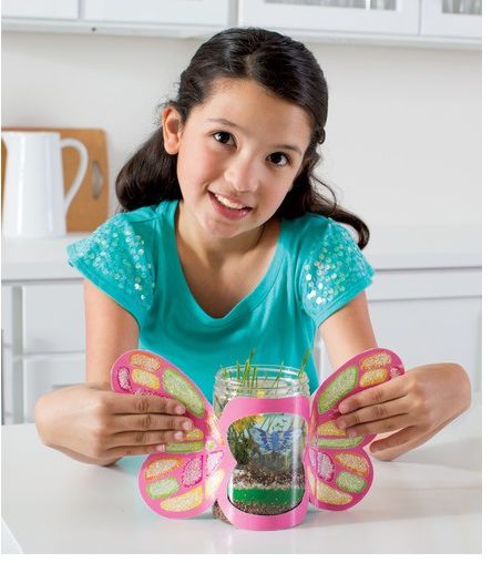 Butterfly Terrarium