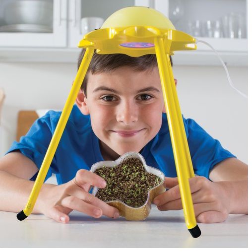 Grow a Little Star