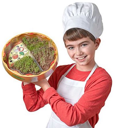 Plant Pizza