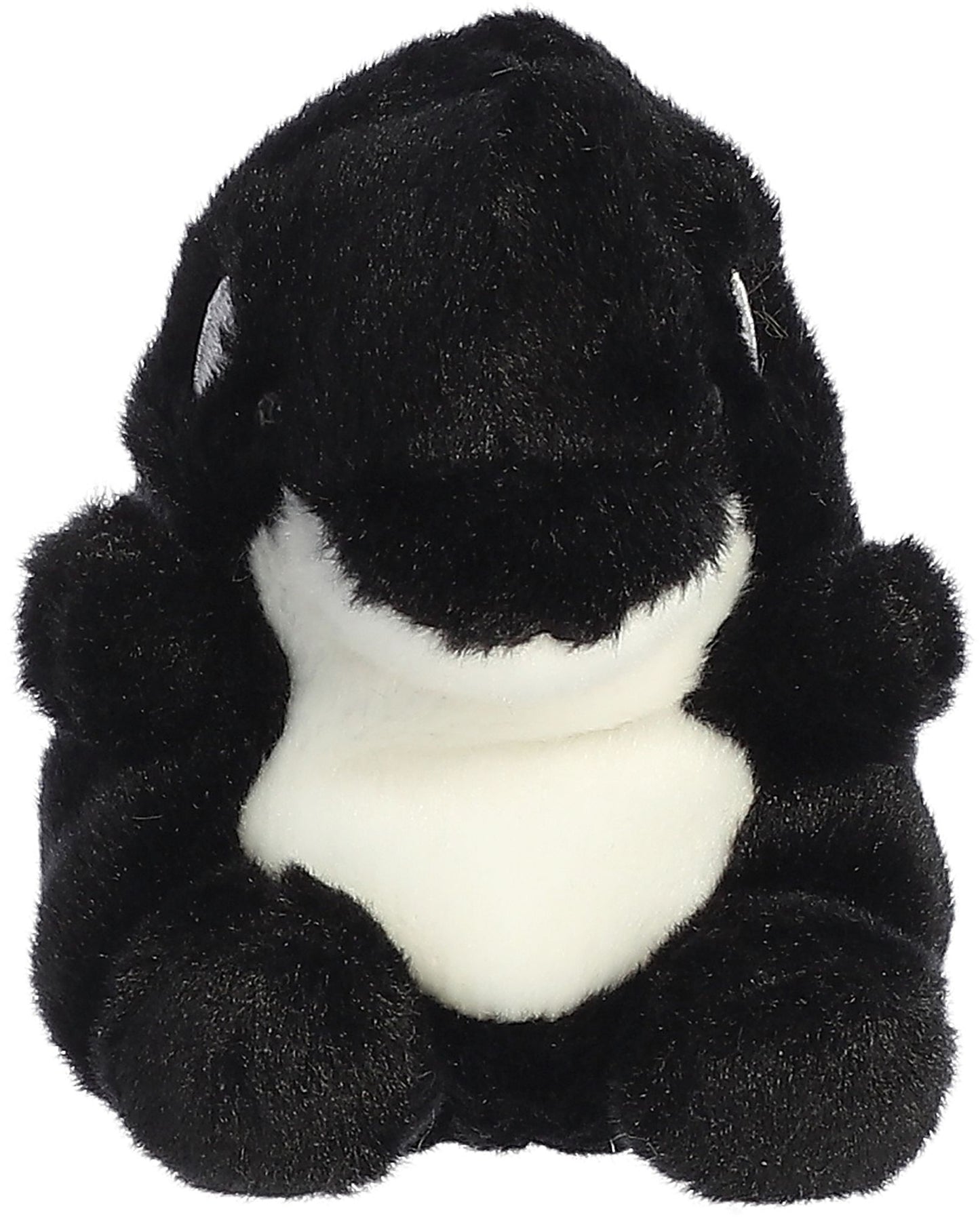 5" JUNEAU ORCA
