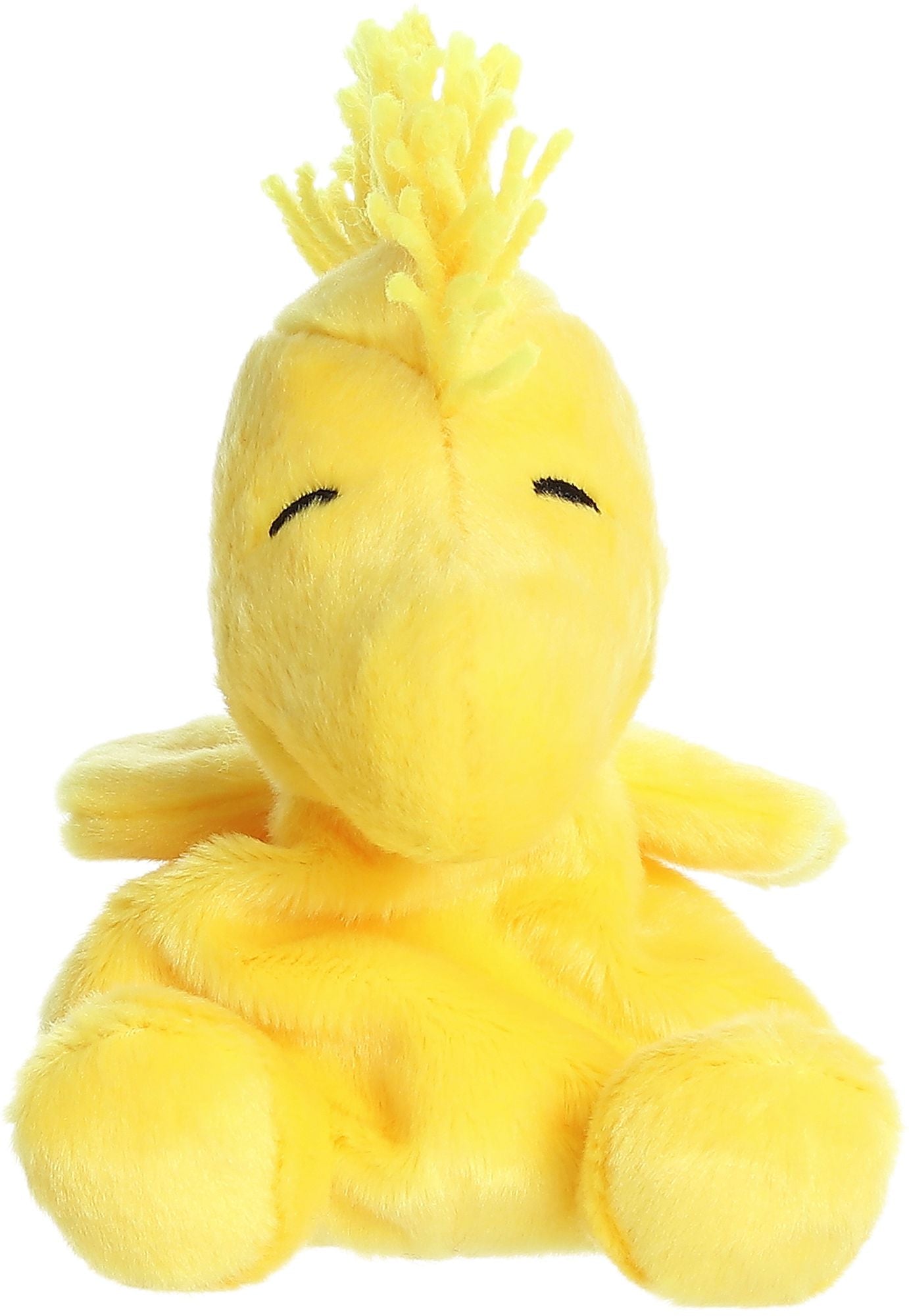 5" WOODSTOCK PALM PALS