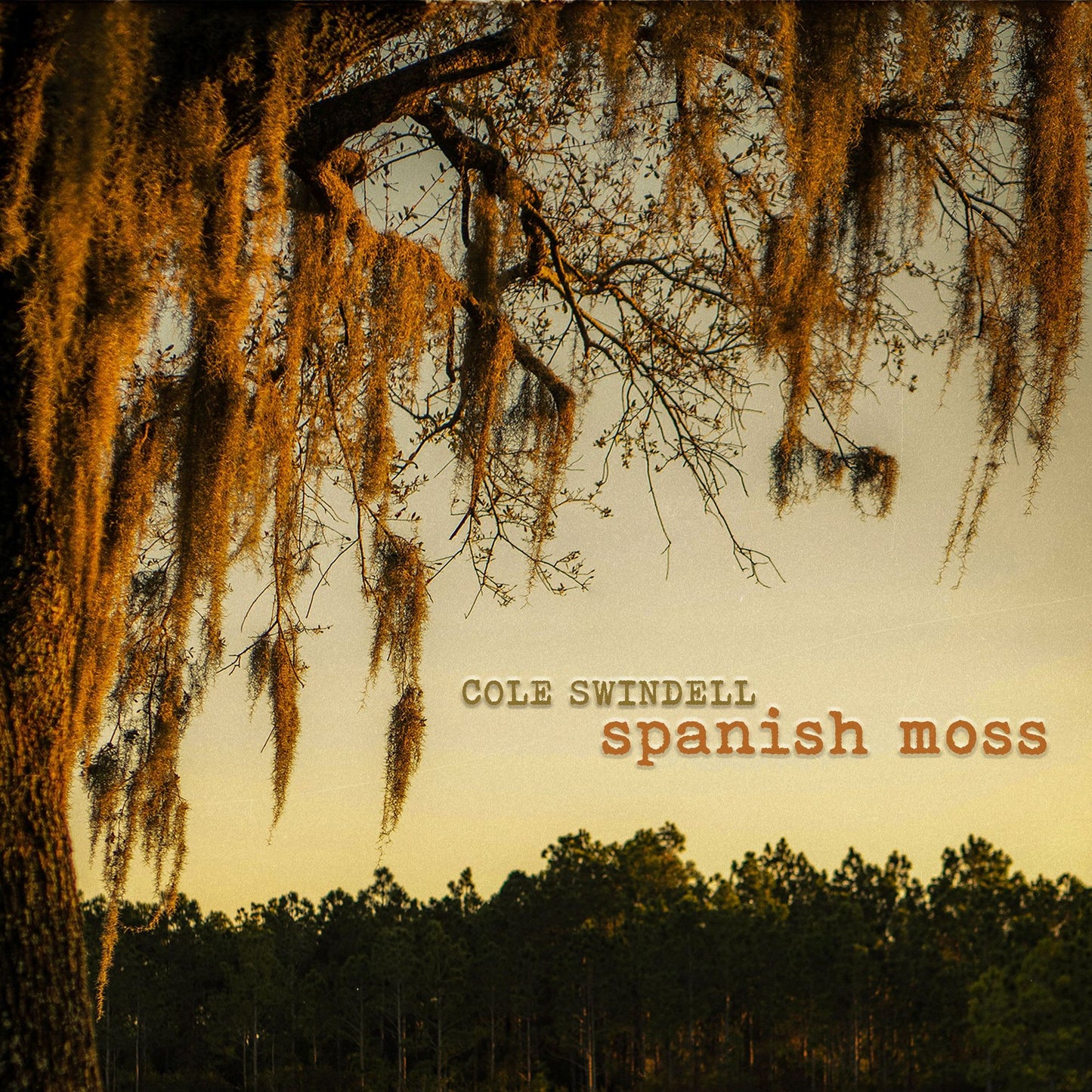 Spanish Moss (Cole Swindell)