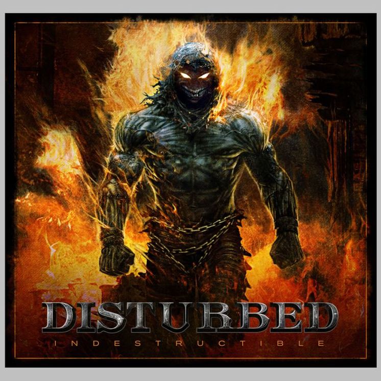 Indestructible [Lp]