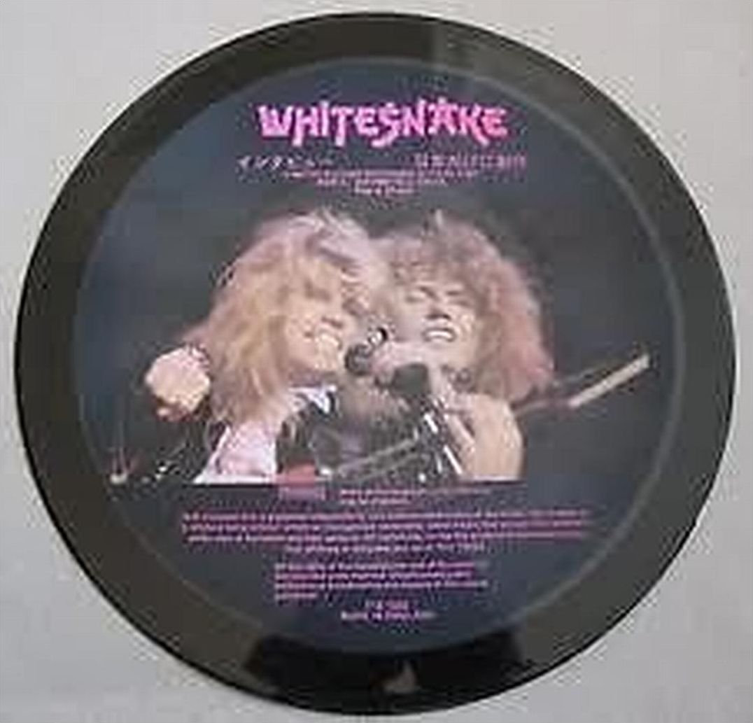 Bat Shaped Picture Disc