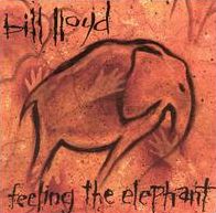 Feeling The Elephant