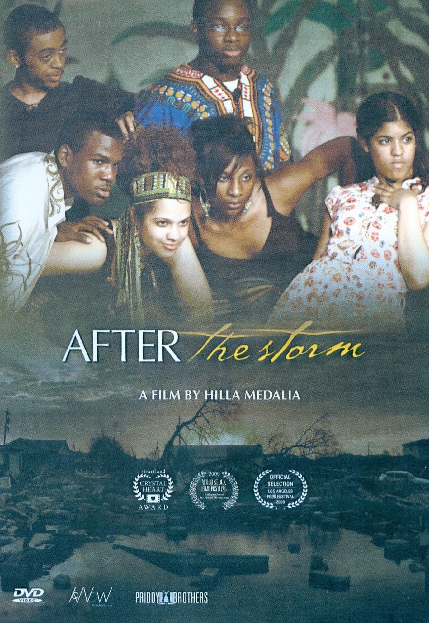 After the Storm