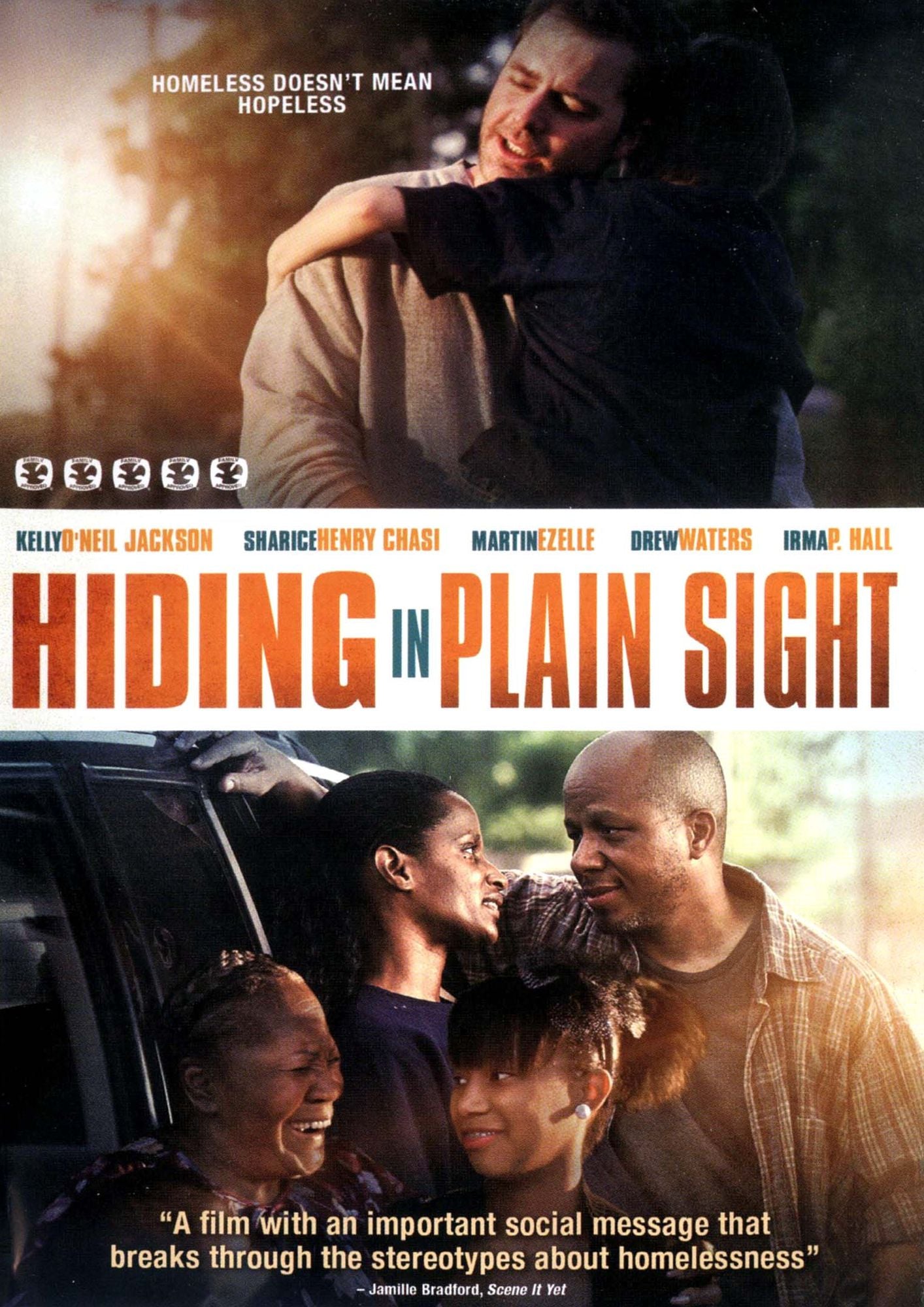 Hiding In Plain Sight