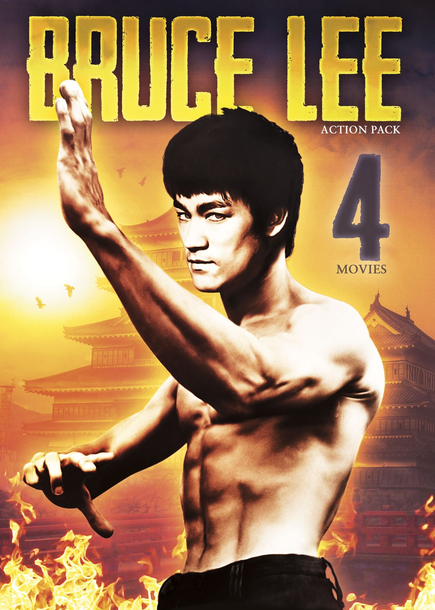 Bruce Lee Action Pack