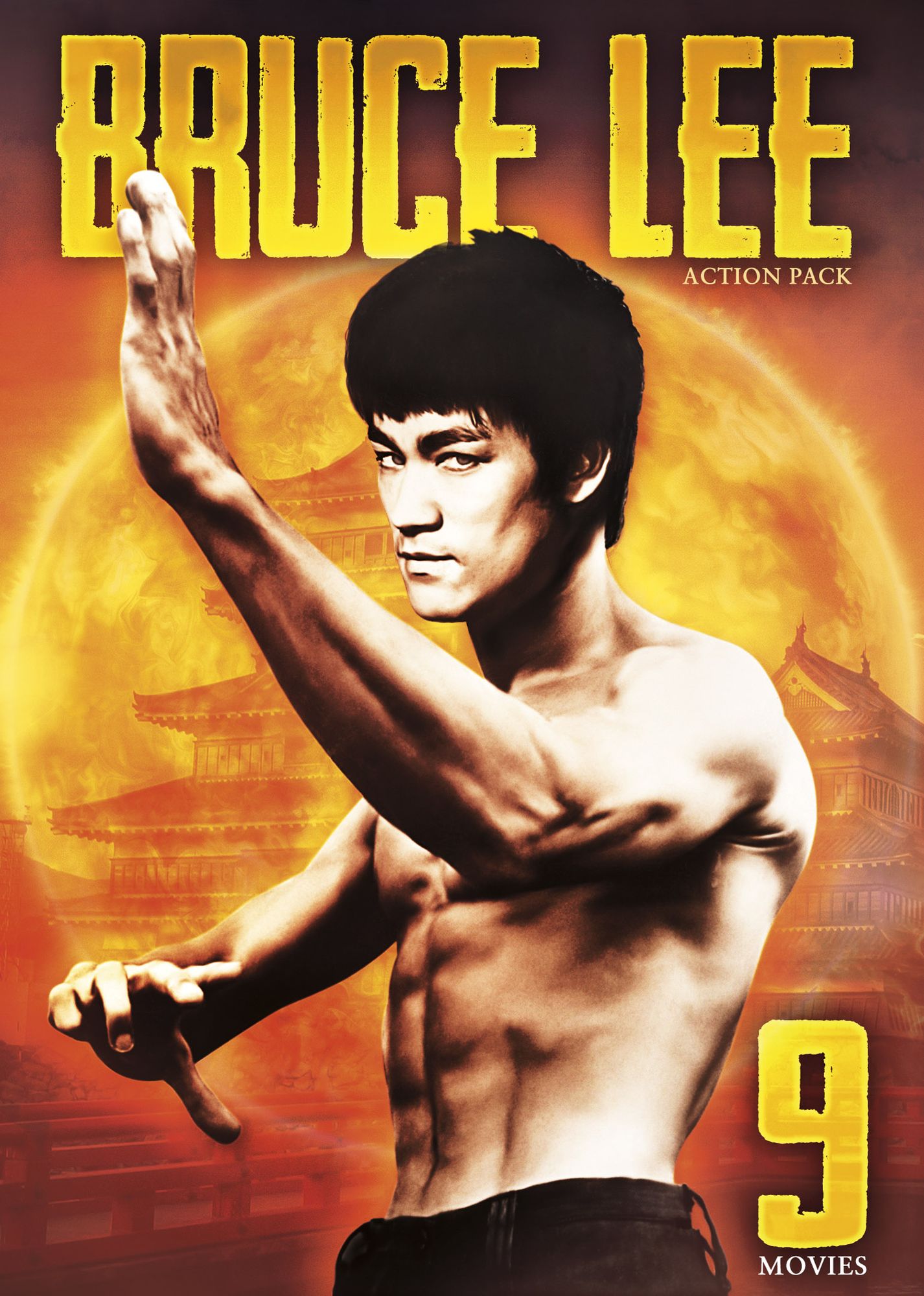 Bruce Lee Action Pack: 9 Movies [2 Discs]