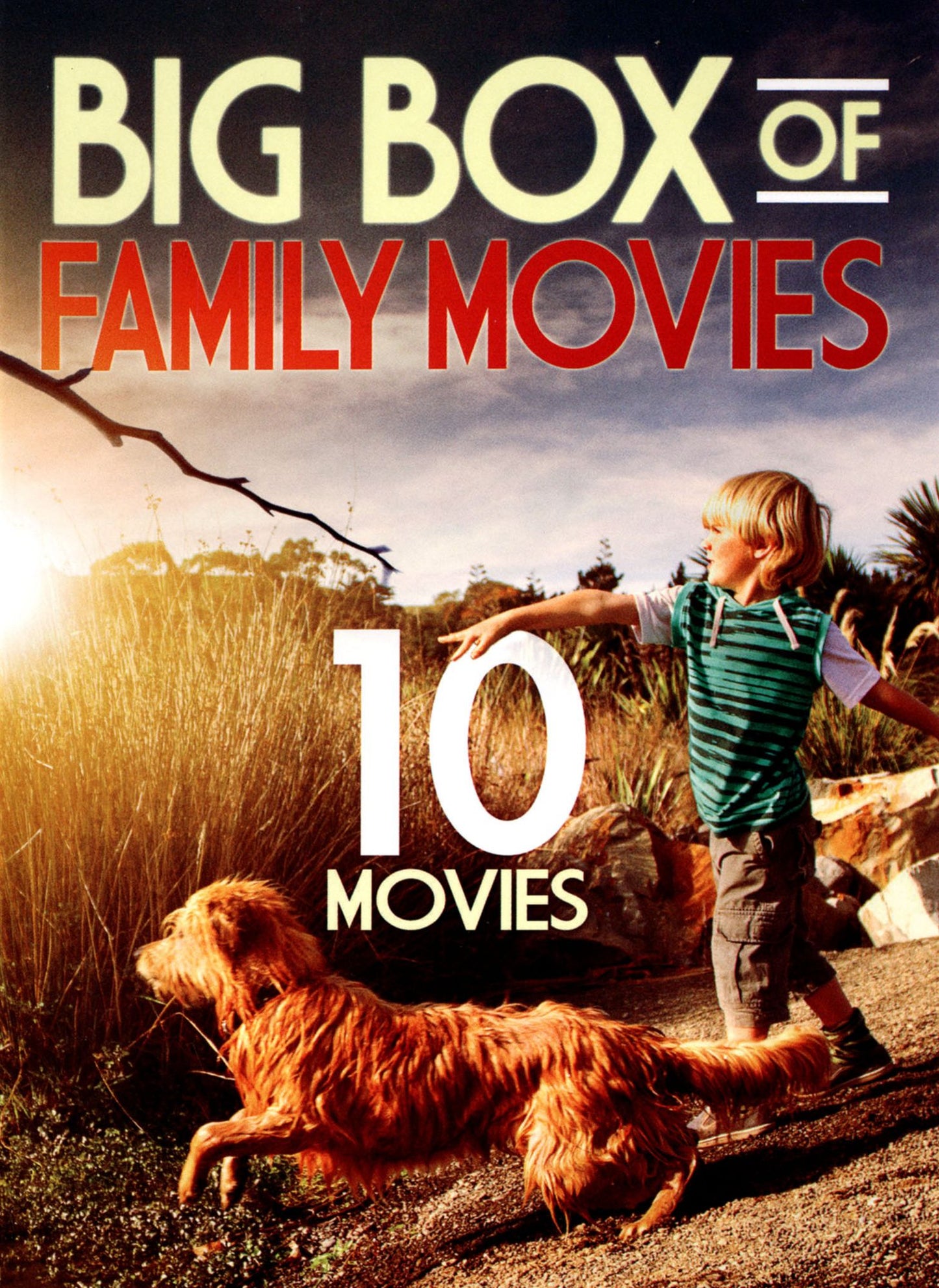 BIG BOX OF FAMILY MOVIES (SLIM)